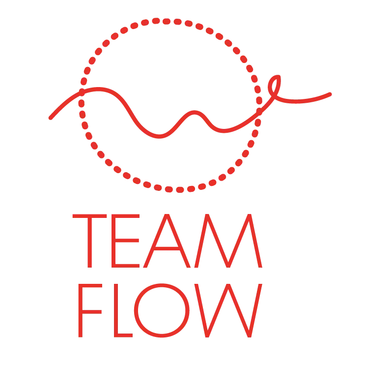 Logo TeamFlow Cottbus